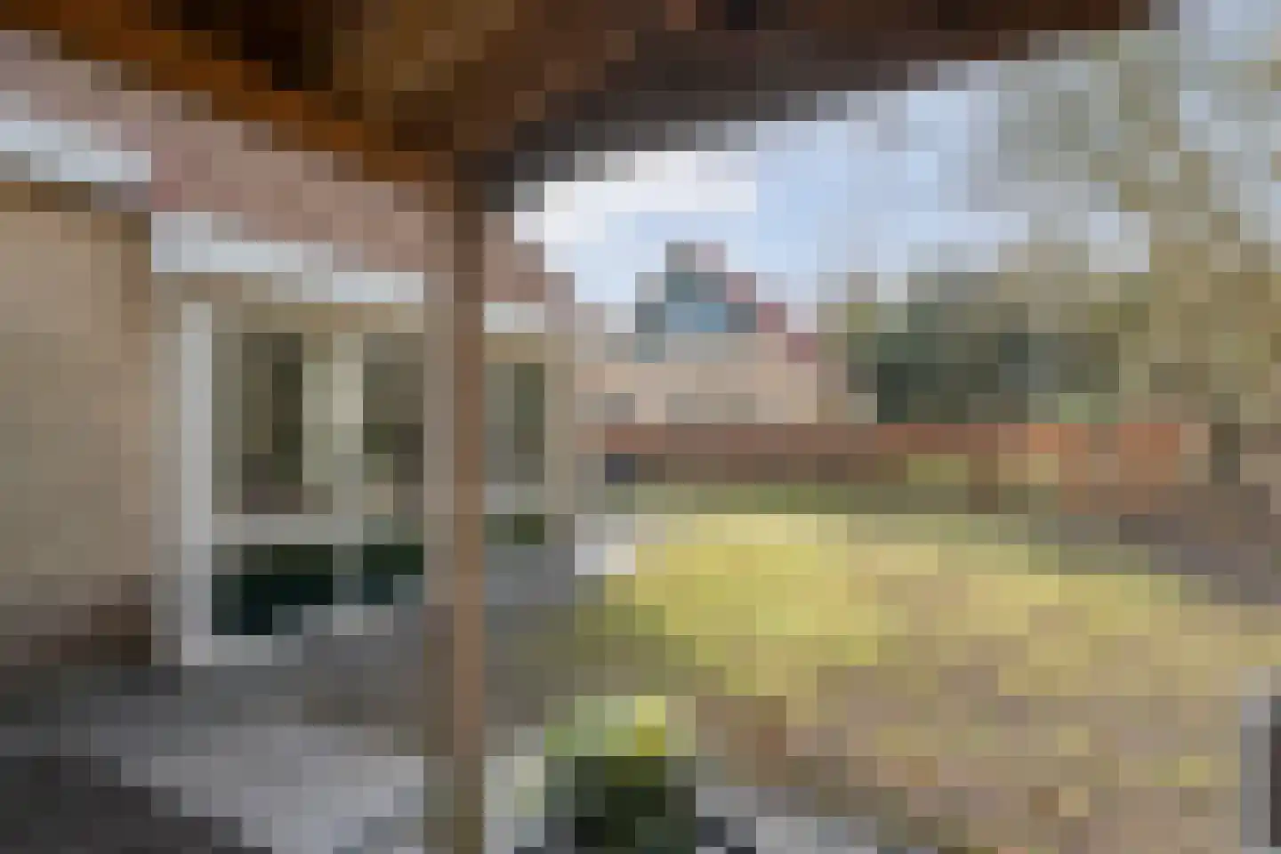 Bruine Hoopsweg 6 a Z298 Hoge Hexel thumbnail 28