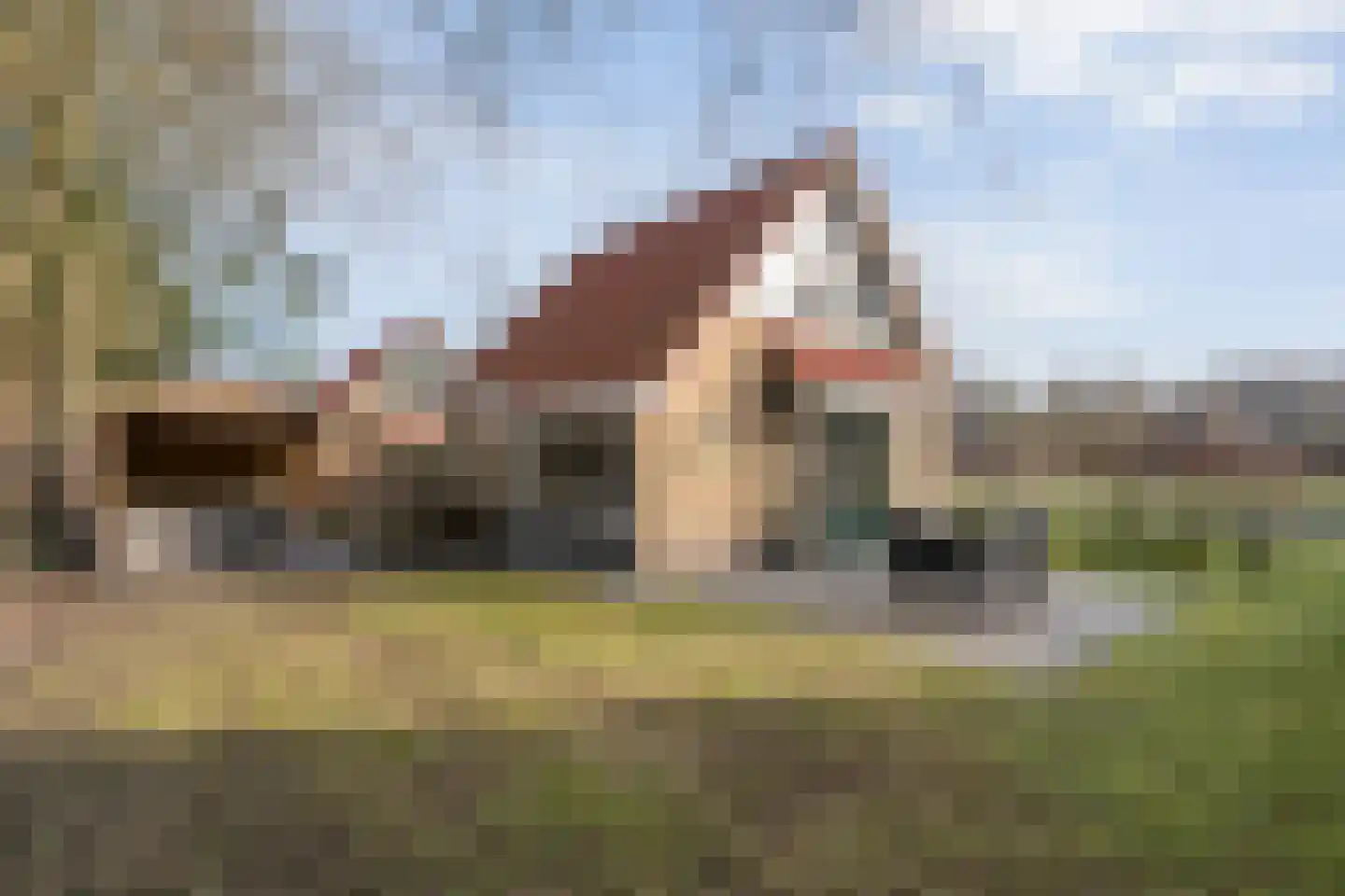 Bruine Hoopsweg 6 a Z298 Hoge Hexel thumbnail 29
