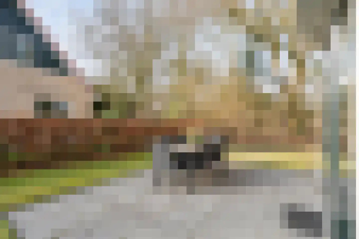 Bruine Hoopsweg 6 a Z298 Hoge Hexel thumbnail 31