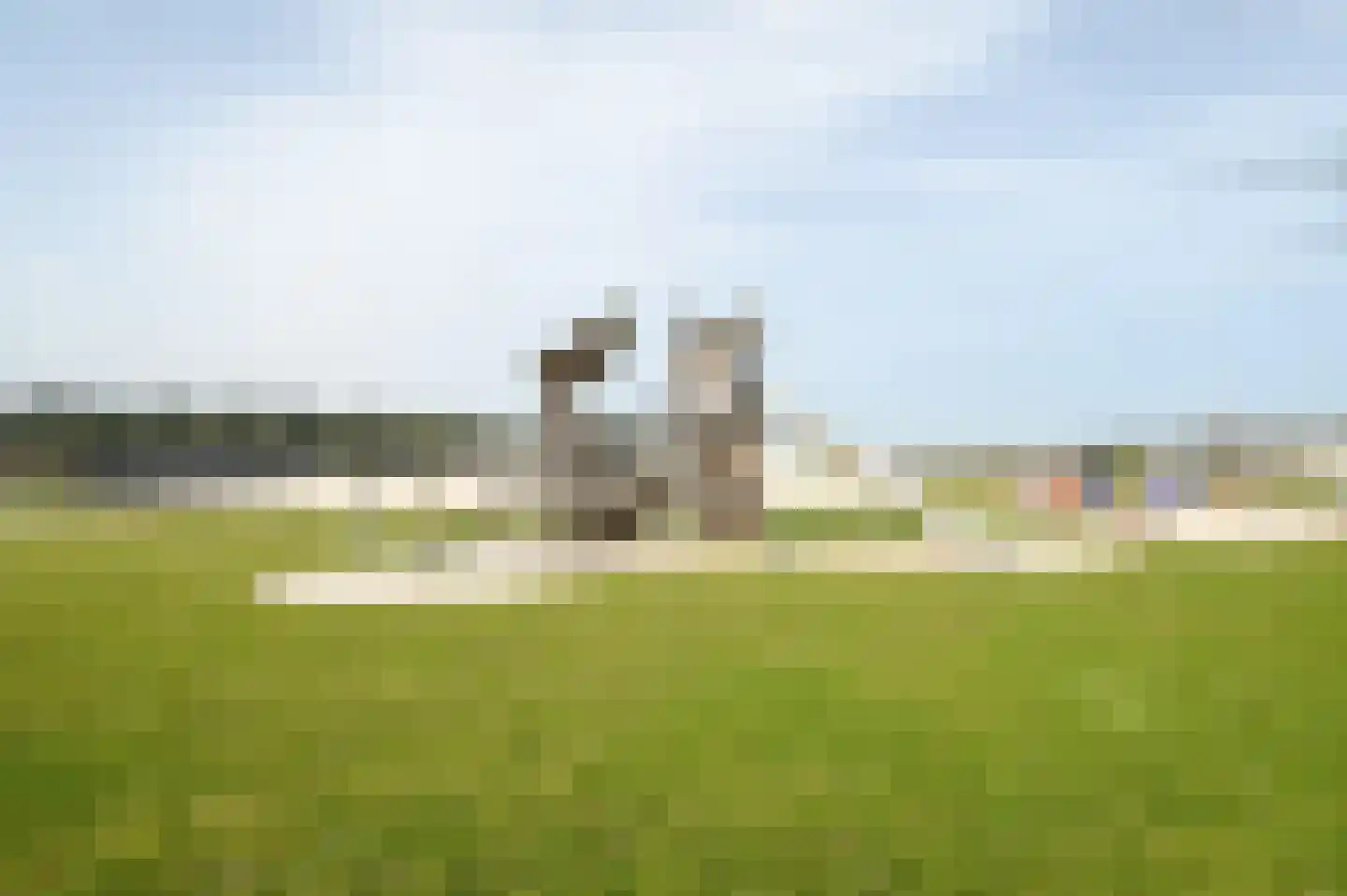 Bruine Hoopsweg 6 a Z306 Hoge Hexel thumbnail 27