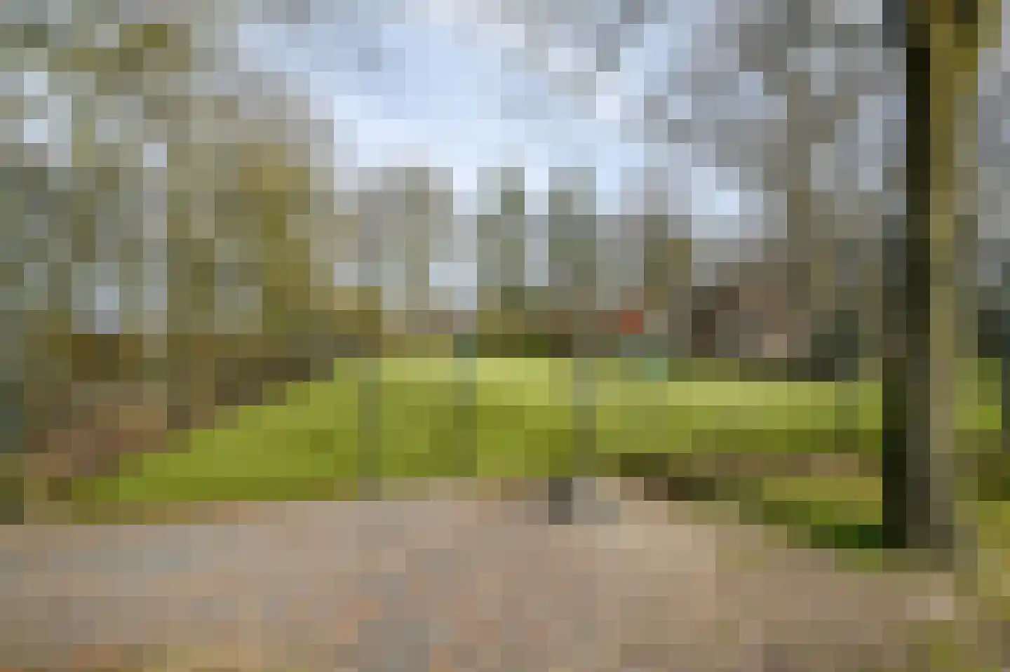 Bruine Hoopsweg 6 a Z306 Hoge Hexel thumbnail 28
