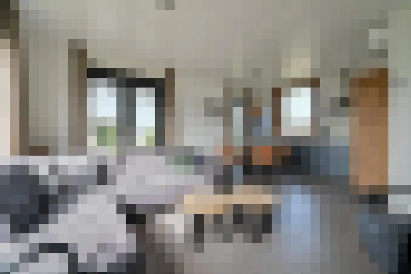 Bruine Hoopsweg 6 a Z306 Hoge Hexel thumbnail 4