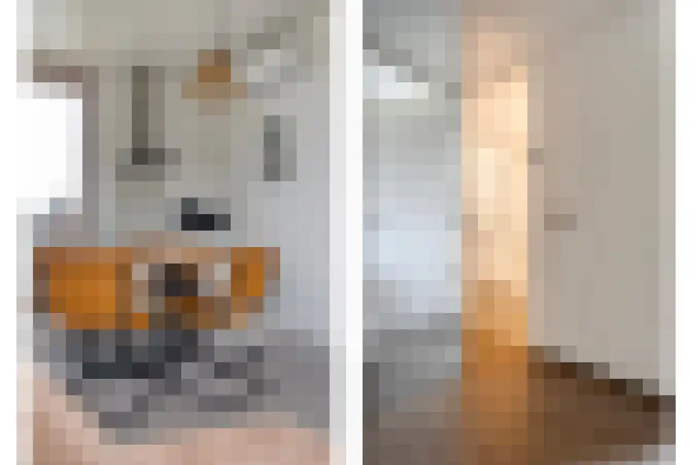Bruine Hoopsweg 6 a Z308 Hoge Hexel thumbnail 11
