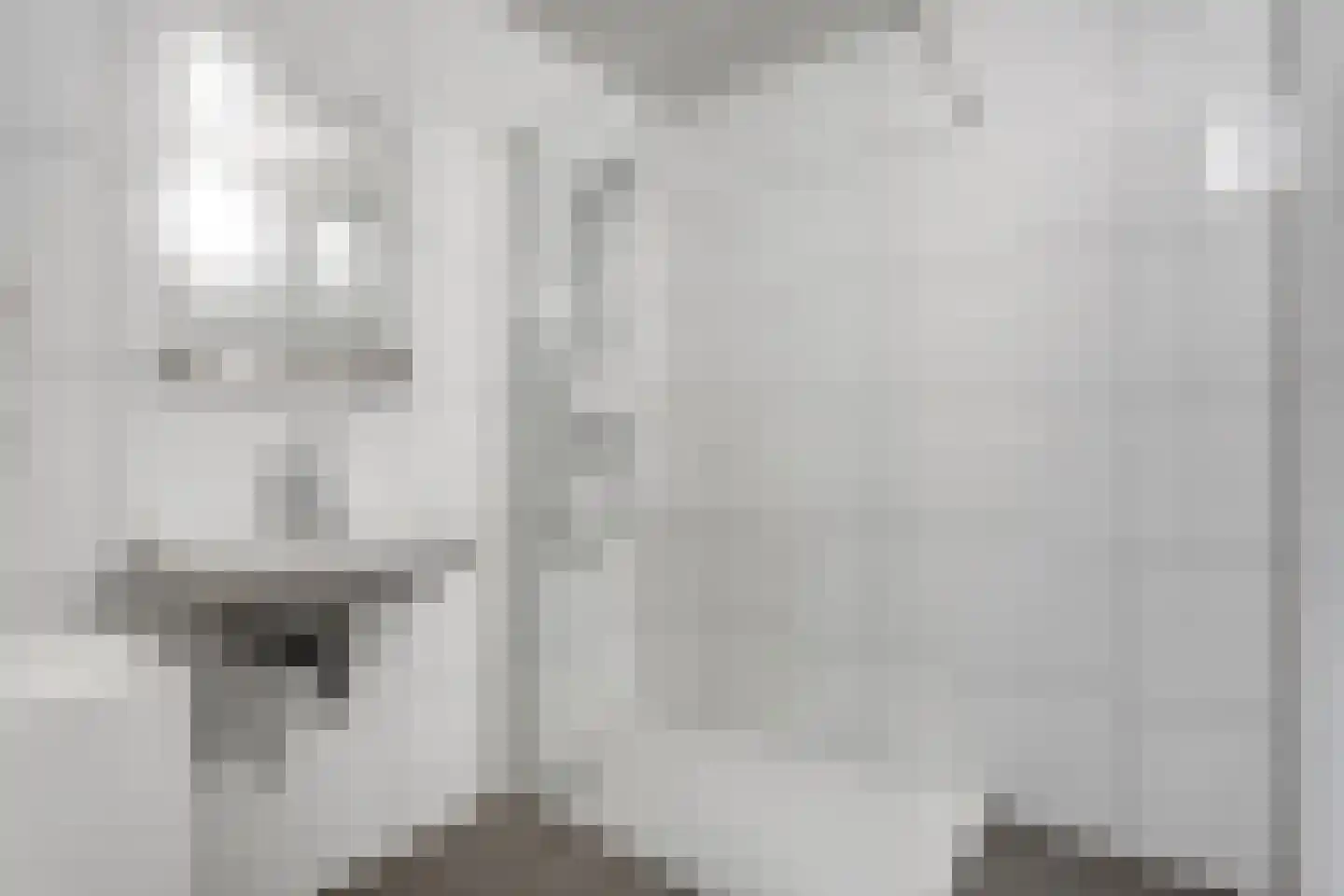 Bruine Hoopsweg 6 a Z308 Hoge Hexel thumbnail 17