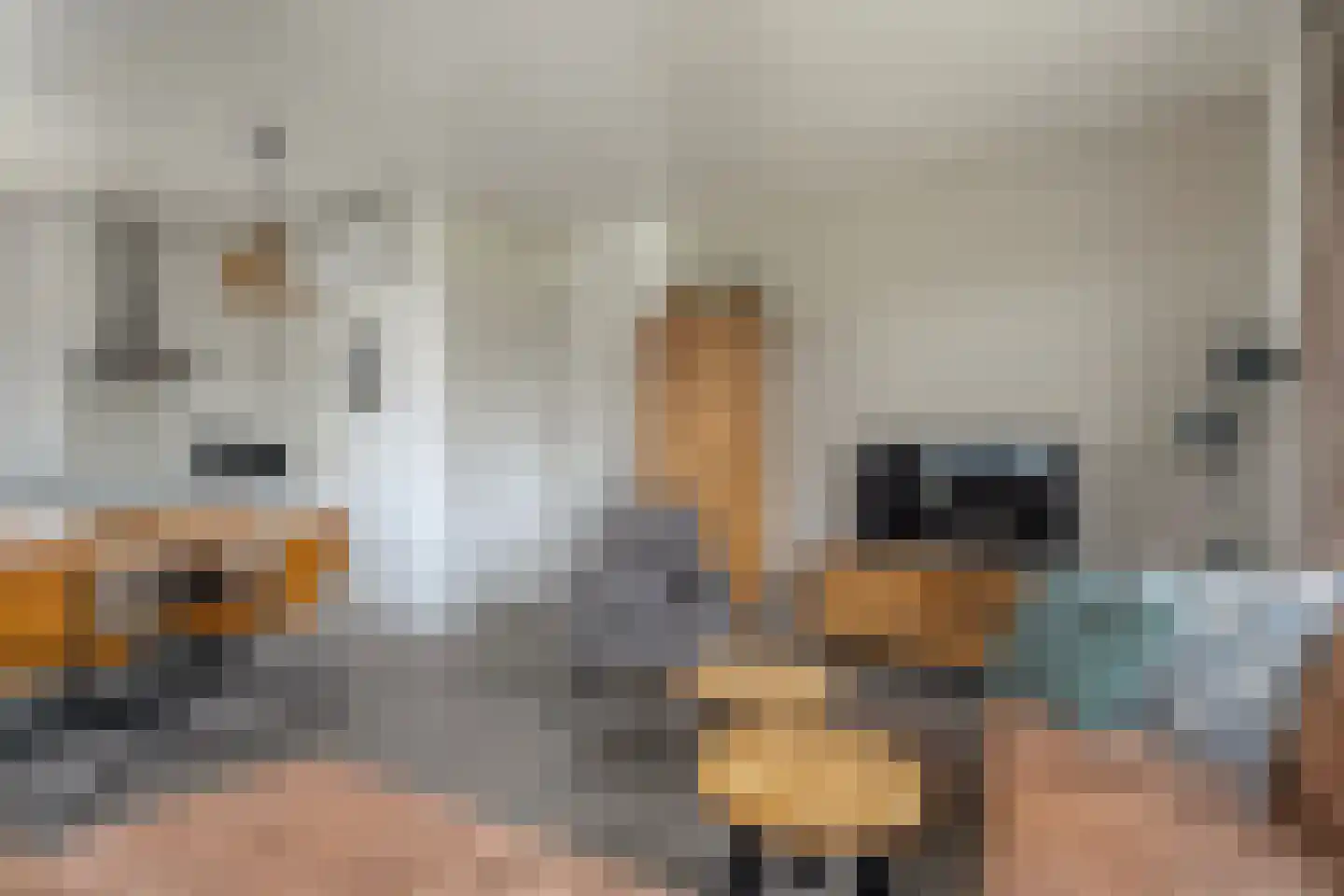 Bruine Hoopsweg 6 a Z308 Hoge Hexel thumbnail 7