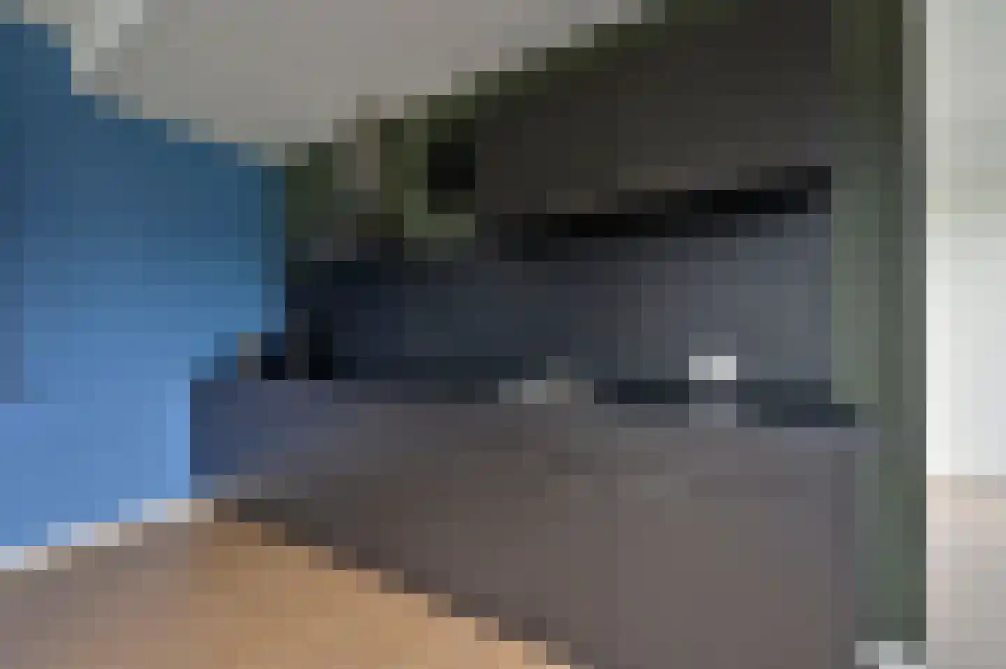 Bruine Hoopsweg 6 a Z337 Hoge Hexel thumbnail 12