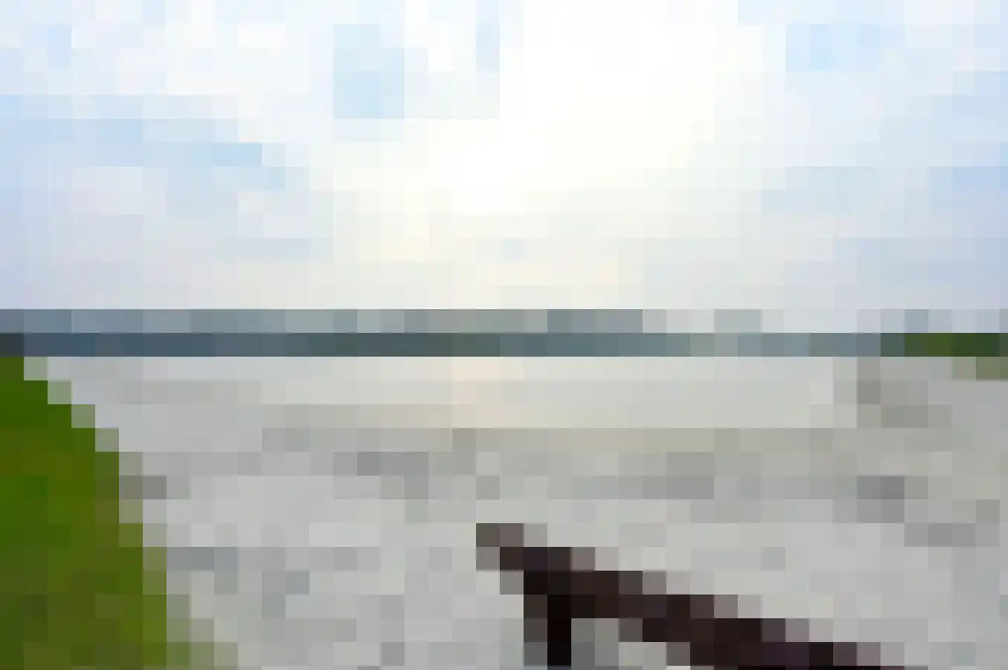 Bruine Hoopsweg 6 a Z337 Hoge Hexel thumbnail 21