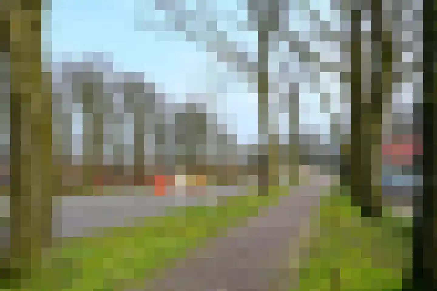 Bruine Hoopsweg 6 a Z337 Hoge Hexel thumbnail 23