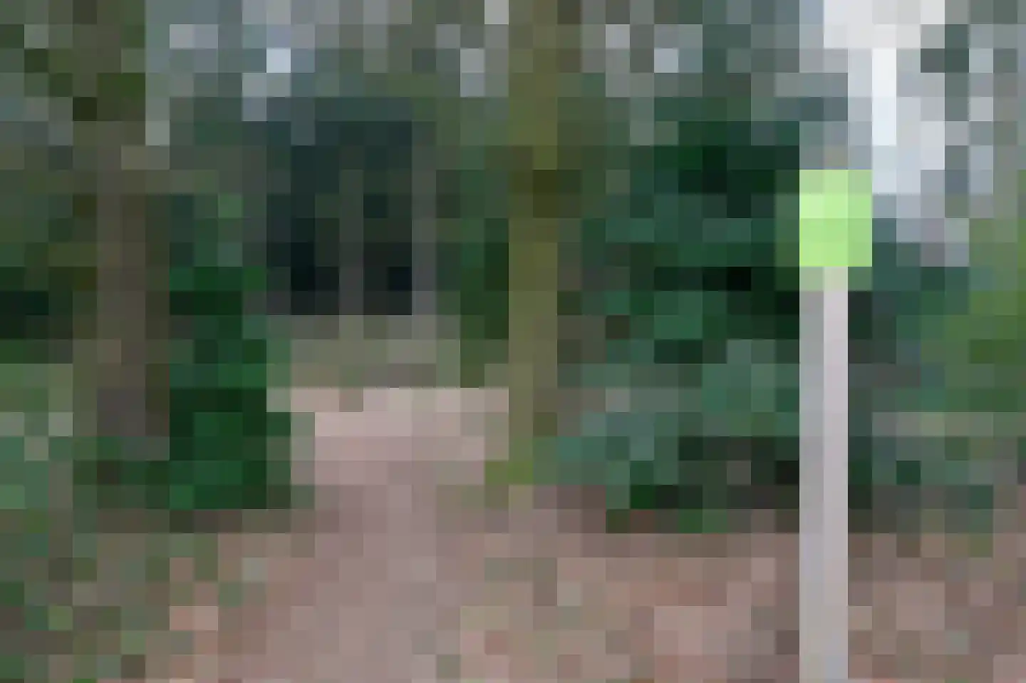 Bruine Hoopsweg 6 a Z337 Hoge Hexel thumbnail 24