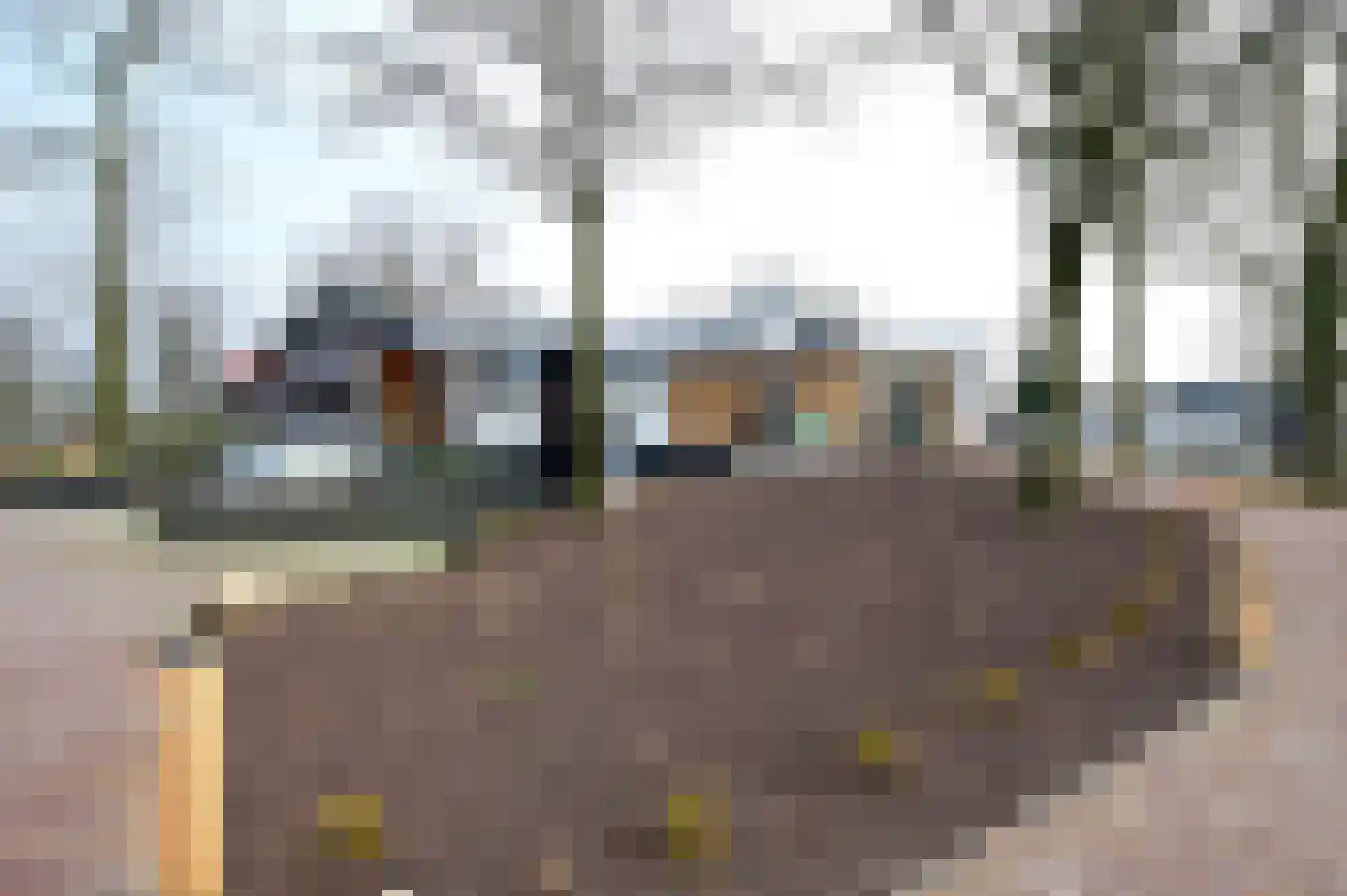 Bruine Hoopsweg 6 a Z337 Hoge Hexel thumbnail 25