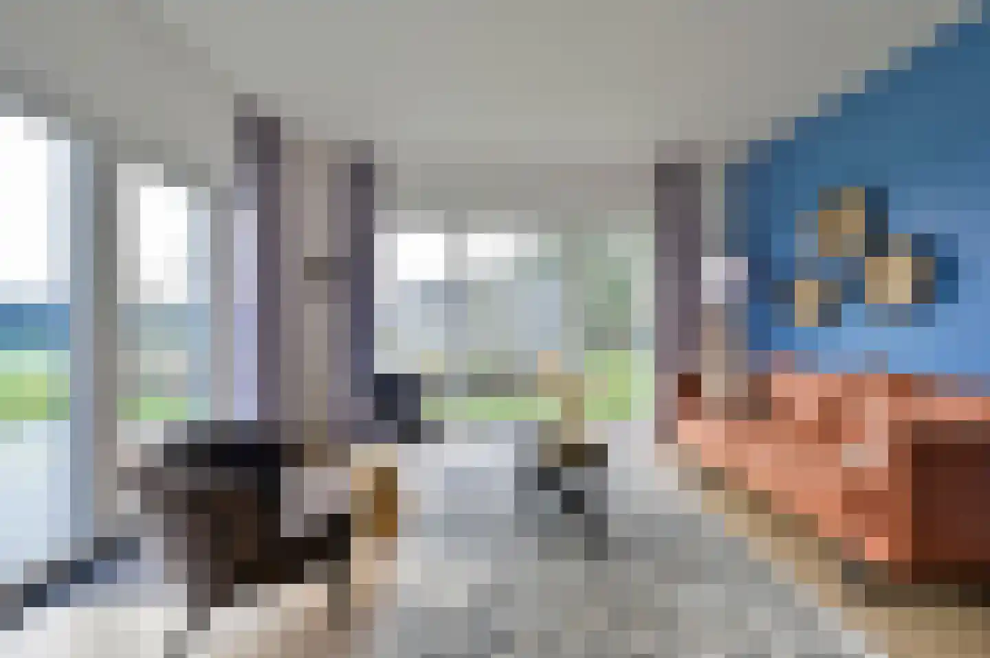 Bruine Hoopsweg 6 a Z337 Hoge Hexel thumbnail 8
