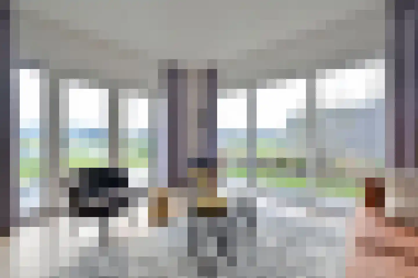Bruine Hoopsweg 6 a Z337 Hoge Hexel thumbnail 9
