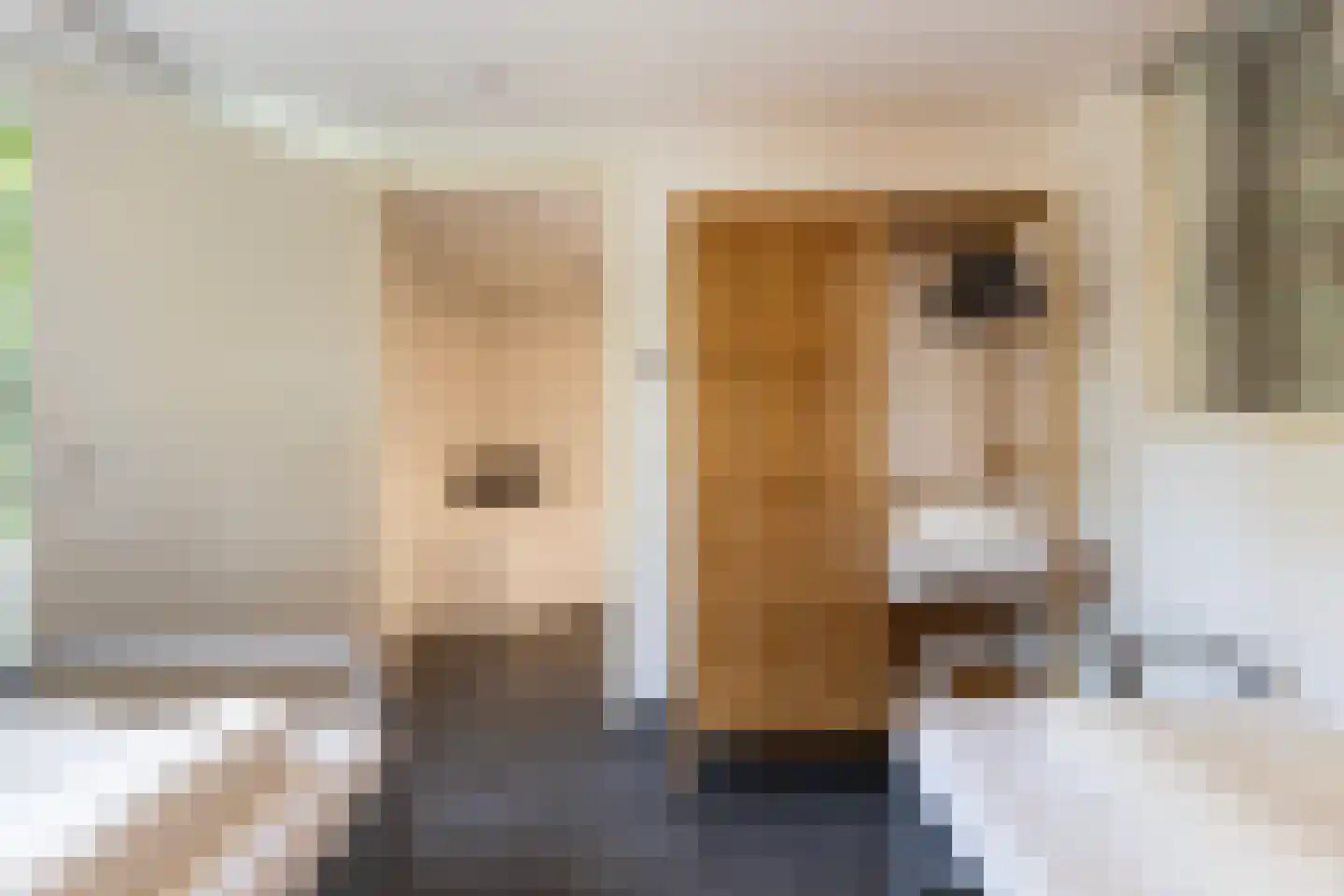 Bruine Hoopsweg 6 a ZH57 Hoge Hexel thumbnail 14