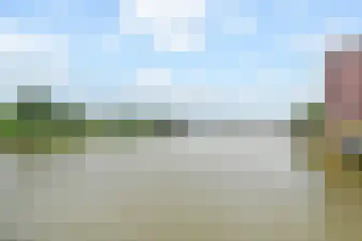 Bruine Hoopsweg 6 a ZH57 Hoge Hexel thumbnail 15