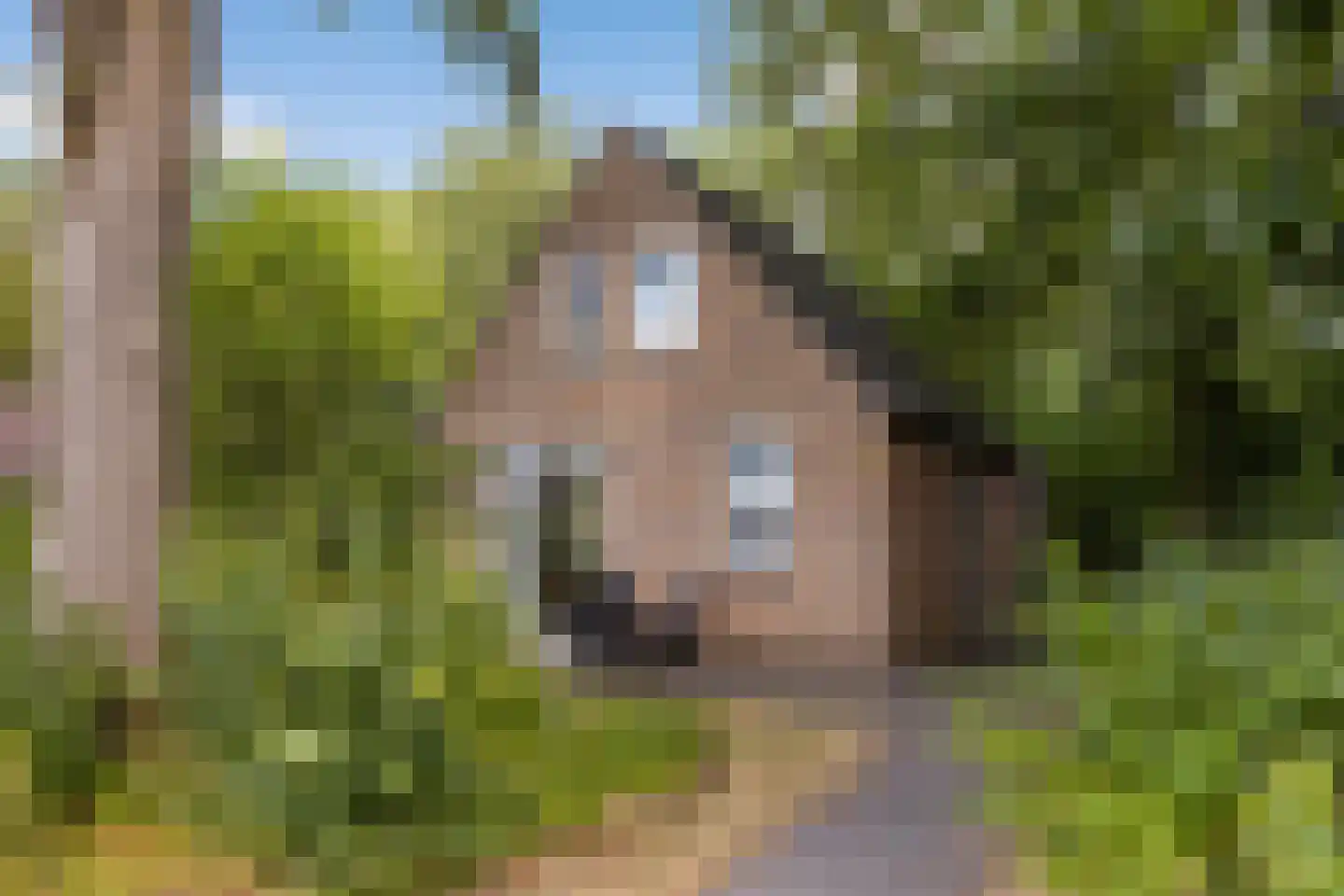 Bruine Hoopsweg 6 a ZH57 Hoge Hexel foto 3