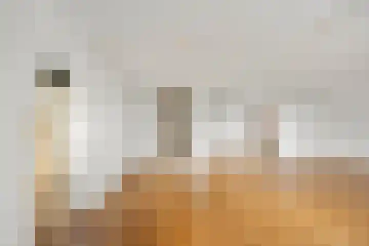 Bruine Hoopsweg 6 a ZH57 Hoge Hexel thumbnail 8