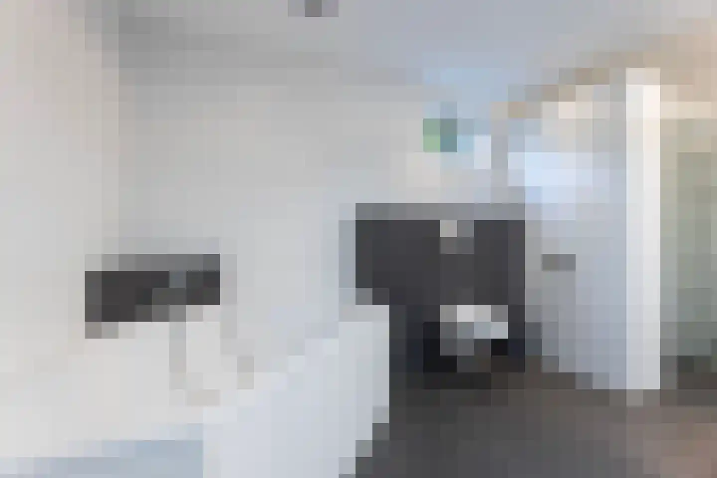 Bruine Hoopsweg 6 a ZH57 Hoge Hexel thumbnail 8