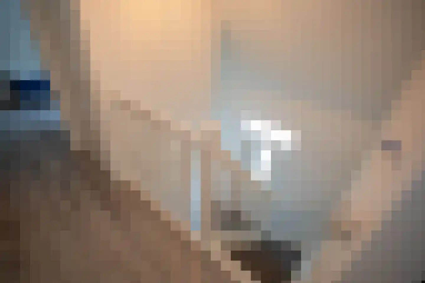 Bruine Hoopsweg 6 a ZH70 Hoge Hexel thumbnail 20
