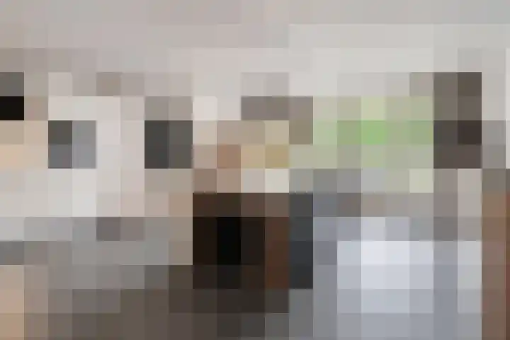 Bruine Hoopsweg 6 a ZH70 Hoge Hexel thumbnail 26
