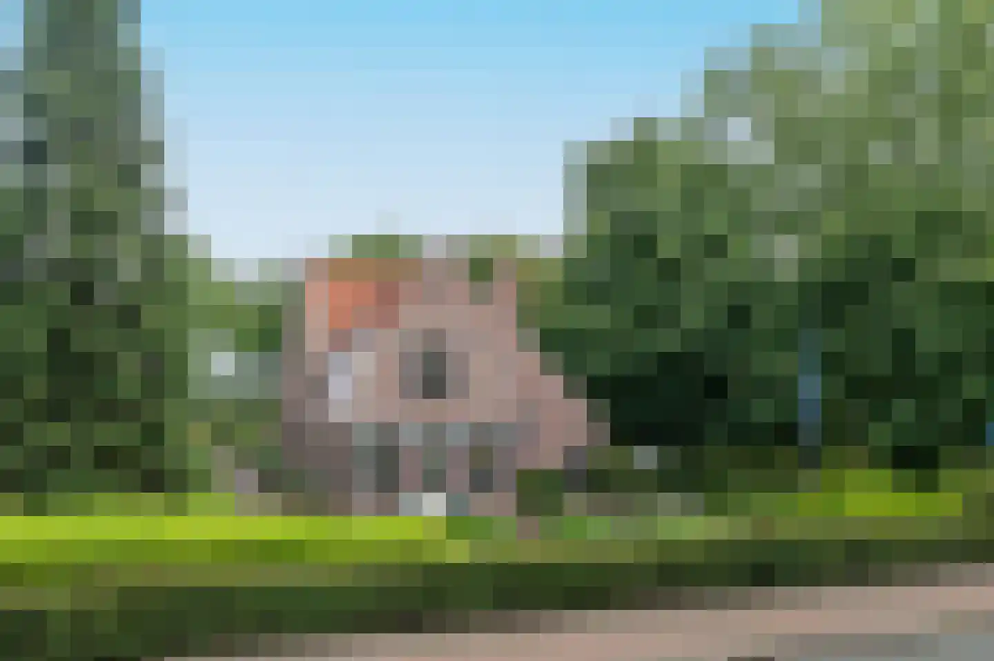 Bruine Hoopsweg 6 a ZH70 Hoge Hexel foto 3