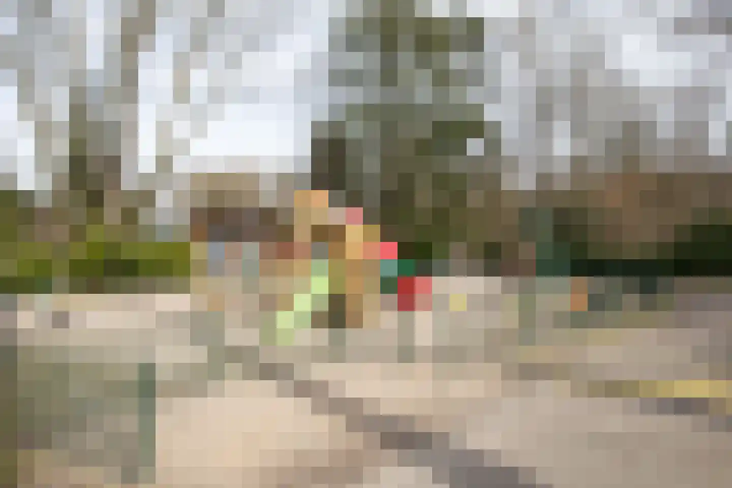 Bruine Hoopsweg 6 a ZH70 Hoge Hexel thumbnail 33