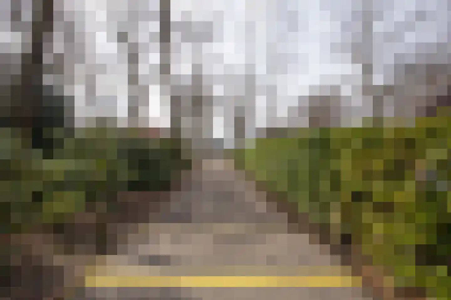 Bruine Hoopsweg 6 a ZH70 Hoge Hexel thumbnail 34