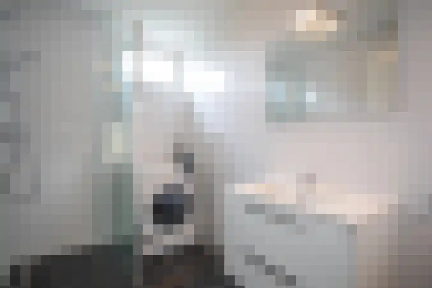 Bruine Hoopsweg 6 a ZH70 Hoge Hexel thumbnail 9