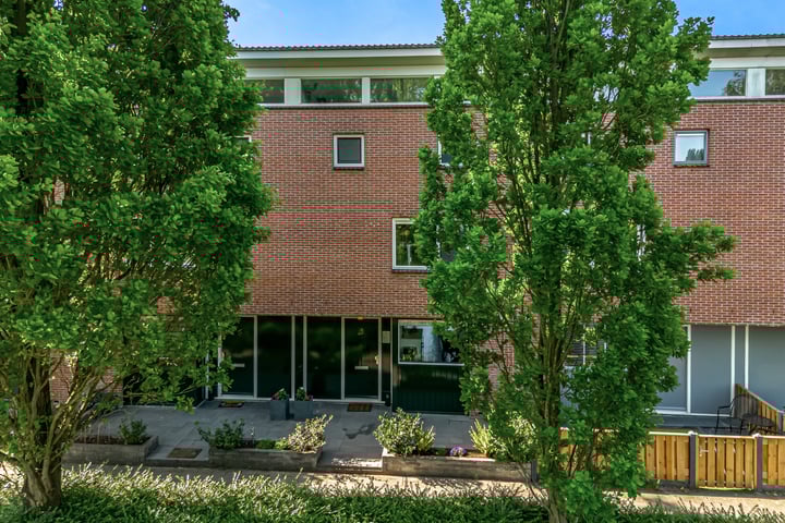 Bruine Lijster 11 in Uithoorn foto