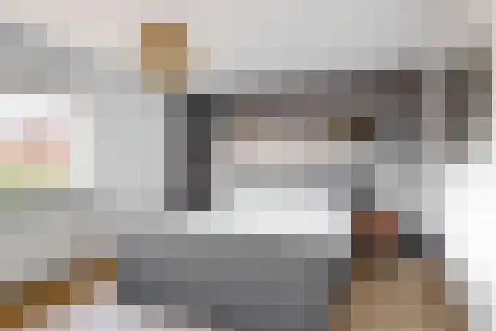 Bruine Lijster 11 Uithoorn thumbnail 12