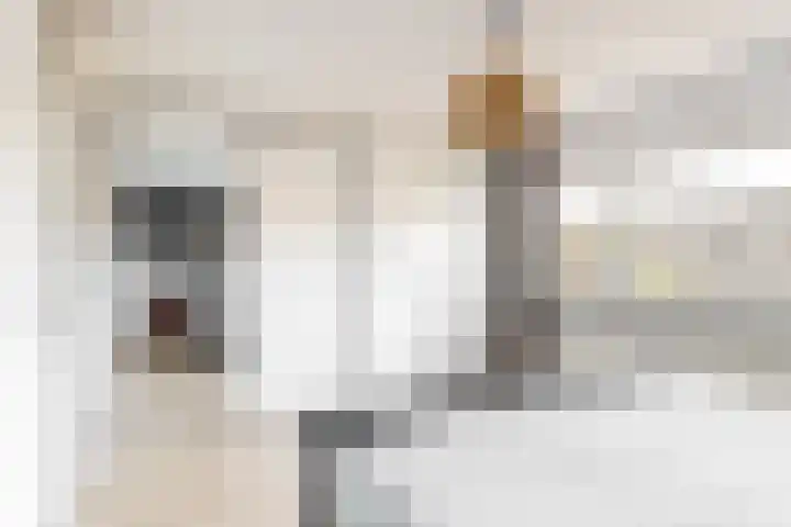 Bruine Lijster 11 Uithoorn thumbnail 13