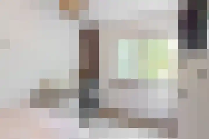 Bruine Lijster 11 Uithoorn thumbnail 14