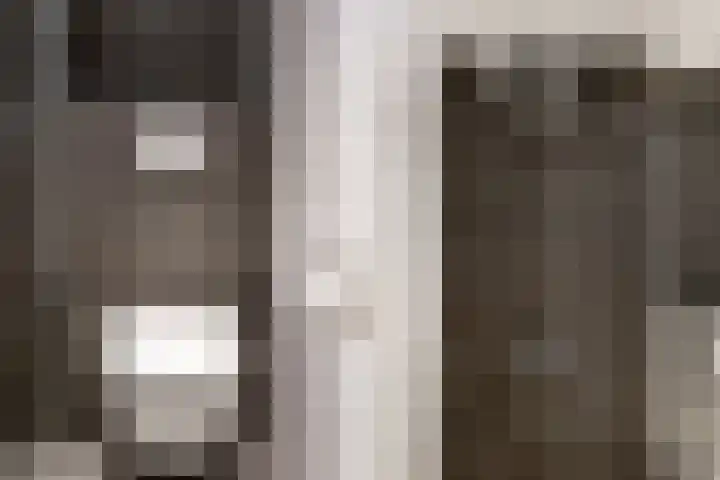 Bruine Lijster 11 Uithoorn thumbnail 16