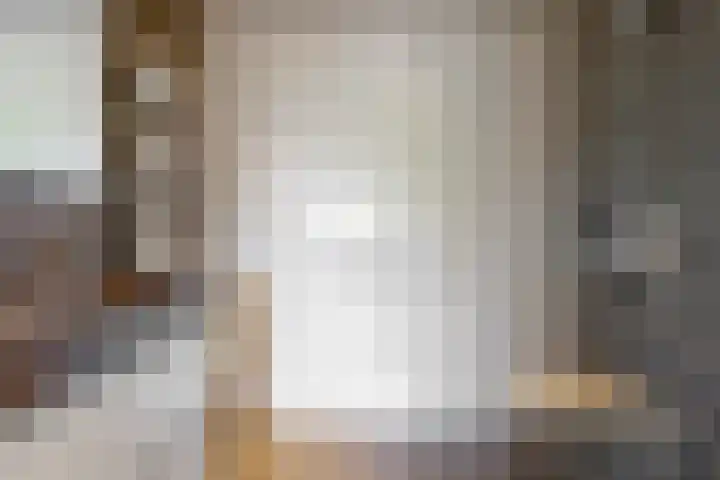 Bruine Lijster 11 Uithoorn thumbnail 17