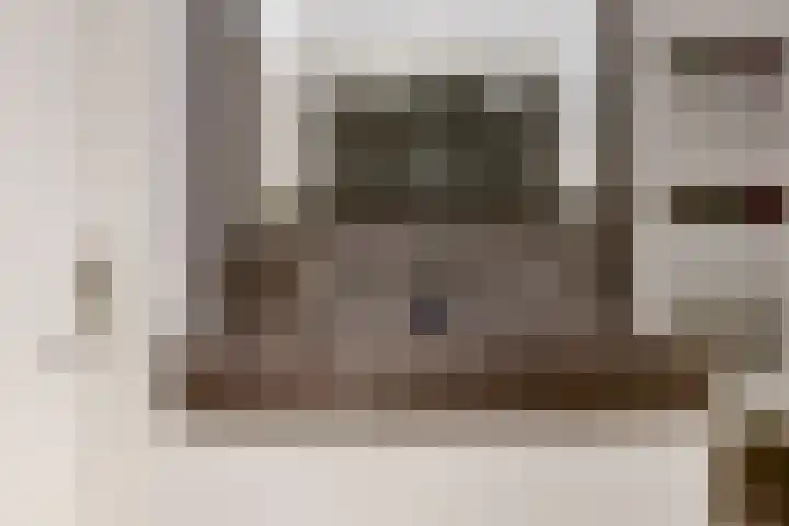 Bruine Lijster 11 Uithoorn thumbnail 18
