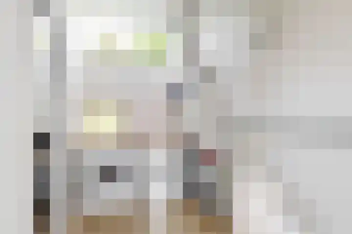 Bruine Lijster 11 Uithoorn thumbnail 19