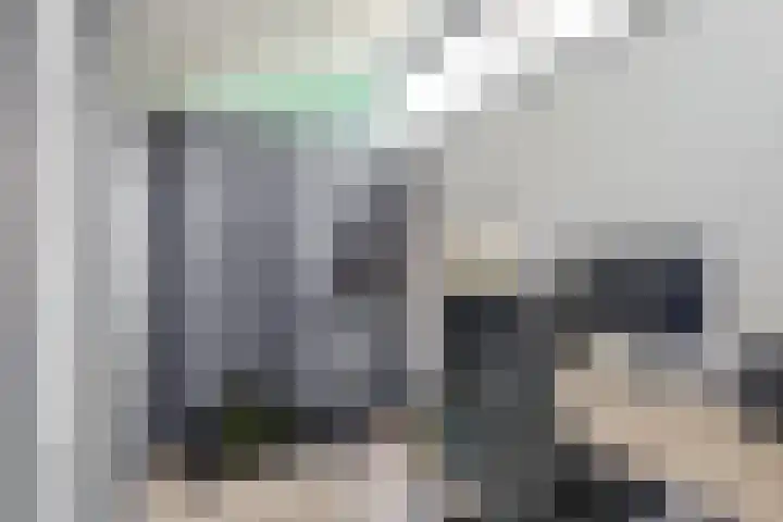 Bruine Lijster 11 Uithoorn thumbnail 20