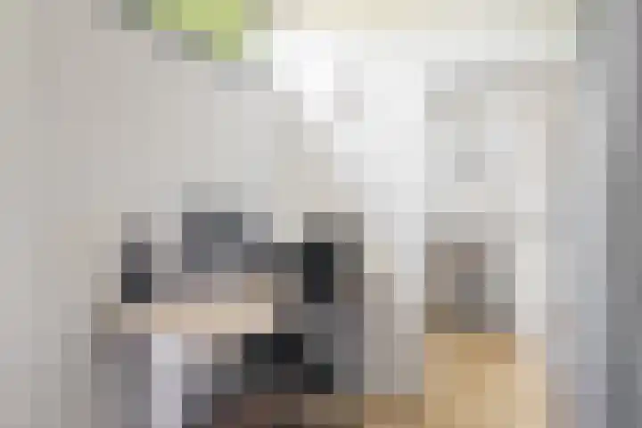 Bruine Lijster 11 Uithoorn thumbnail 21