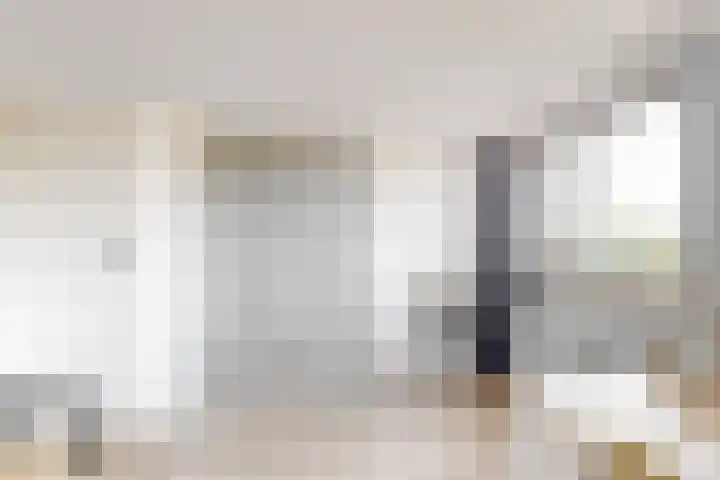 Bruine Lijster 11 Uithoorn thumbnail 23