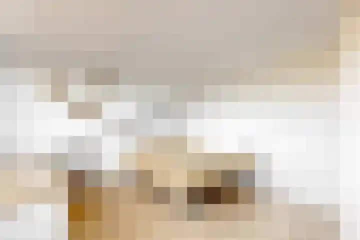 Bruine Lijster 11 Uithoorn thumbnail 24