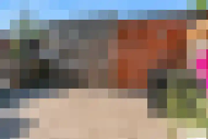 Bruine Lijster 11 Uithoorn thumbnail 25