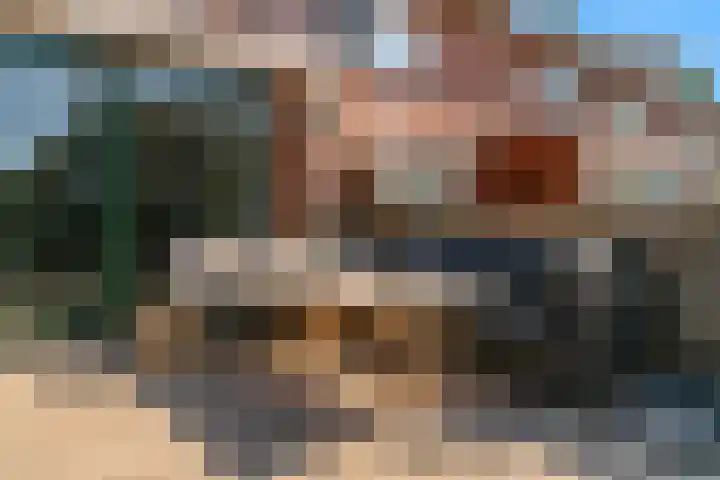 Bruine Lijster 11 Uithoorn thumbnail 26