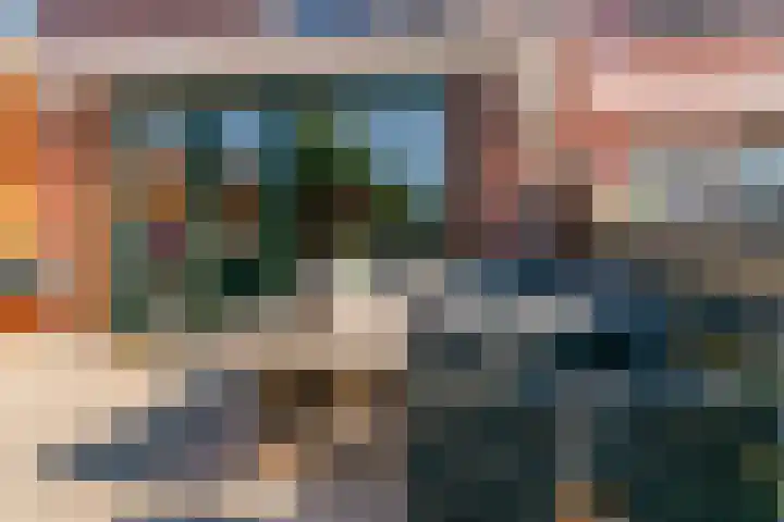 Bruine Lijster 11 Uithoorn thumbnail 28