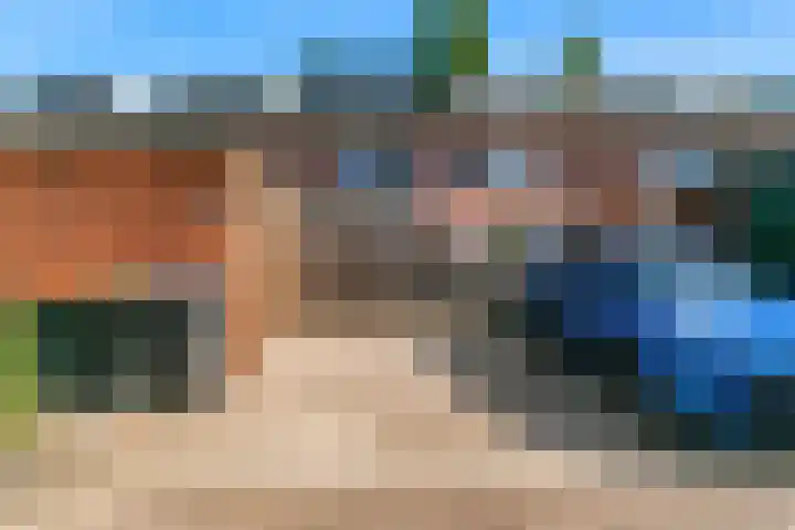 Bruine Lijster 11 Uithoorn thumbnail 29