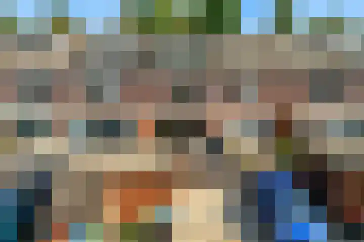 Bruine Lijster 11 Uithoorn thumbnail 30