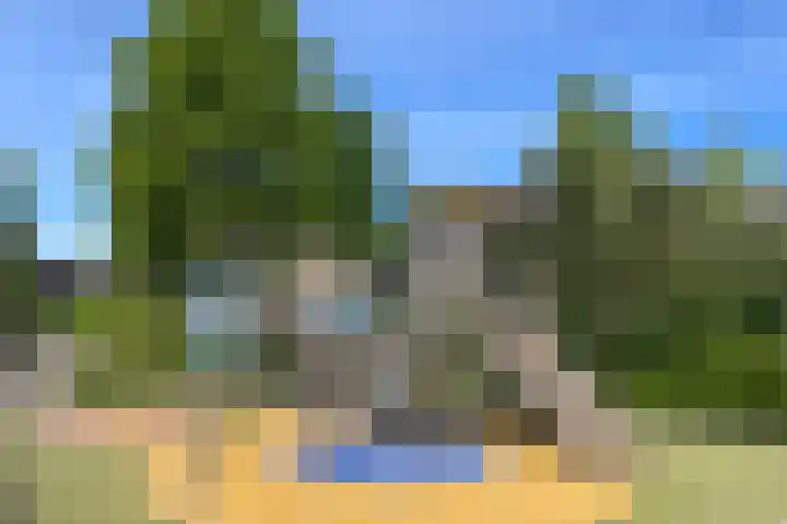 Bruine Lijster 11 Uithoorn thumbnail 31