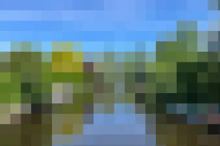 Bruine Lijster 11 Uithoorn thumbnail 32