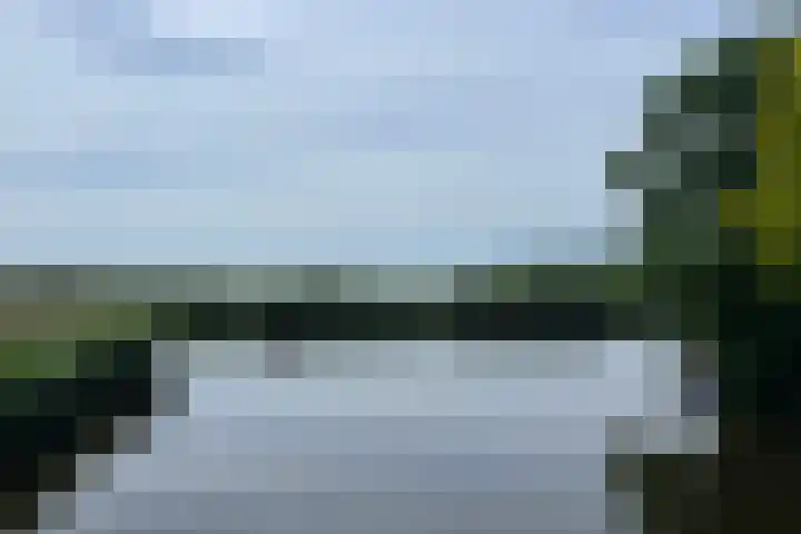 Bruine Lijster 11 Uithoorn thumbnail 33