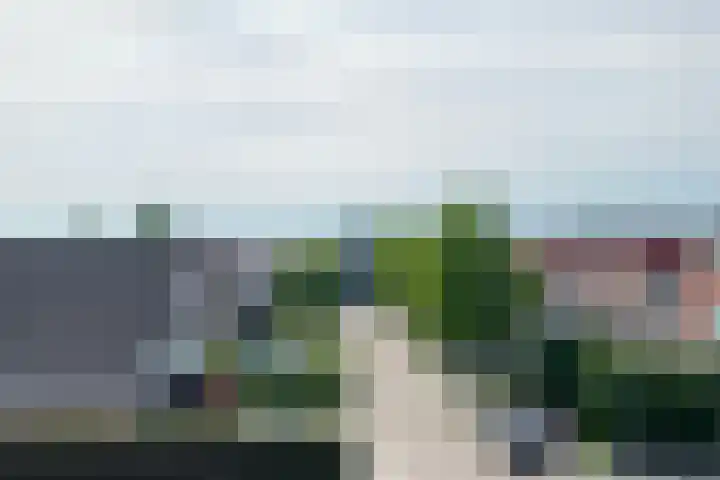 Bruine Lijster 11 Uithoorn thumbnail 34