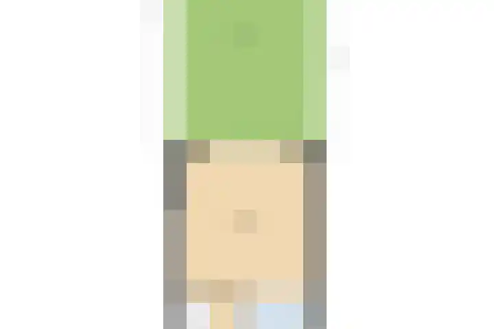 Bruine Lijster 11 Uithoorn thumbnail 38