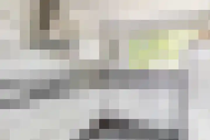 Bruine Lijster 11 Uithoorn thumbnail 8